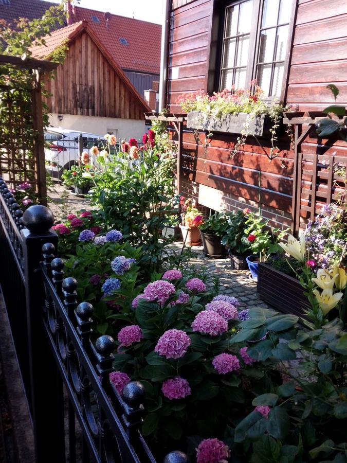 Apartamento Fewo Carmen Wernigerode Exterior foto